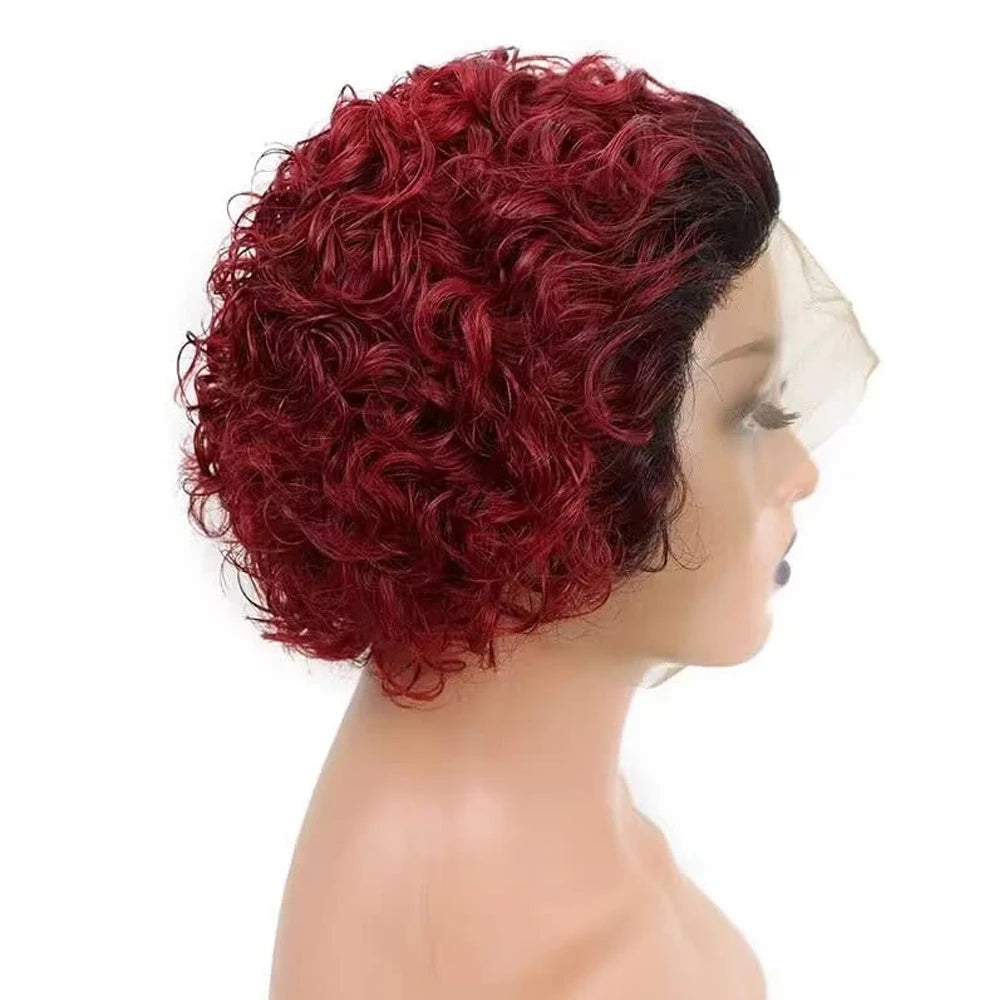 Pixie Cut Wigs Human Hair Short Curly Lace