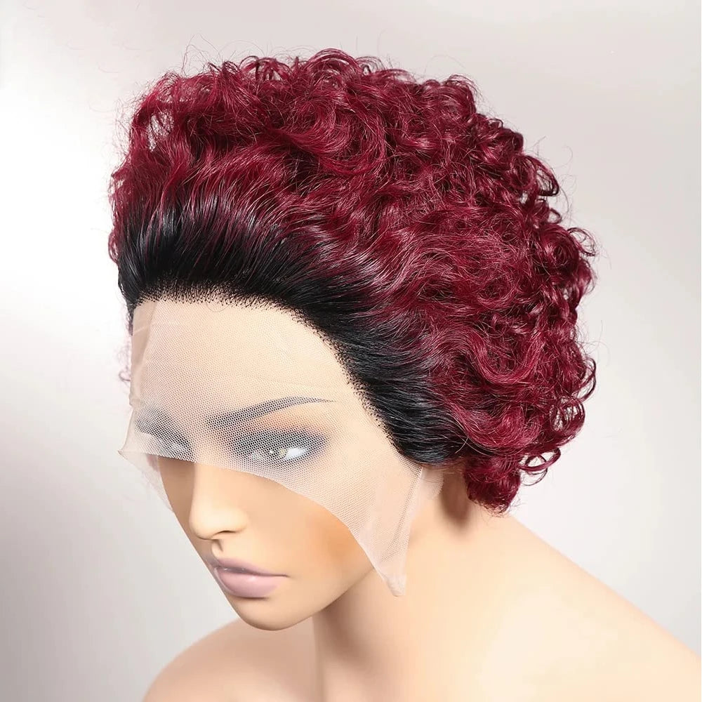 Pixie Cut Wigs Human Hair Short Curly Lace