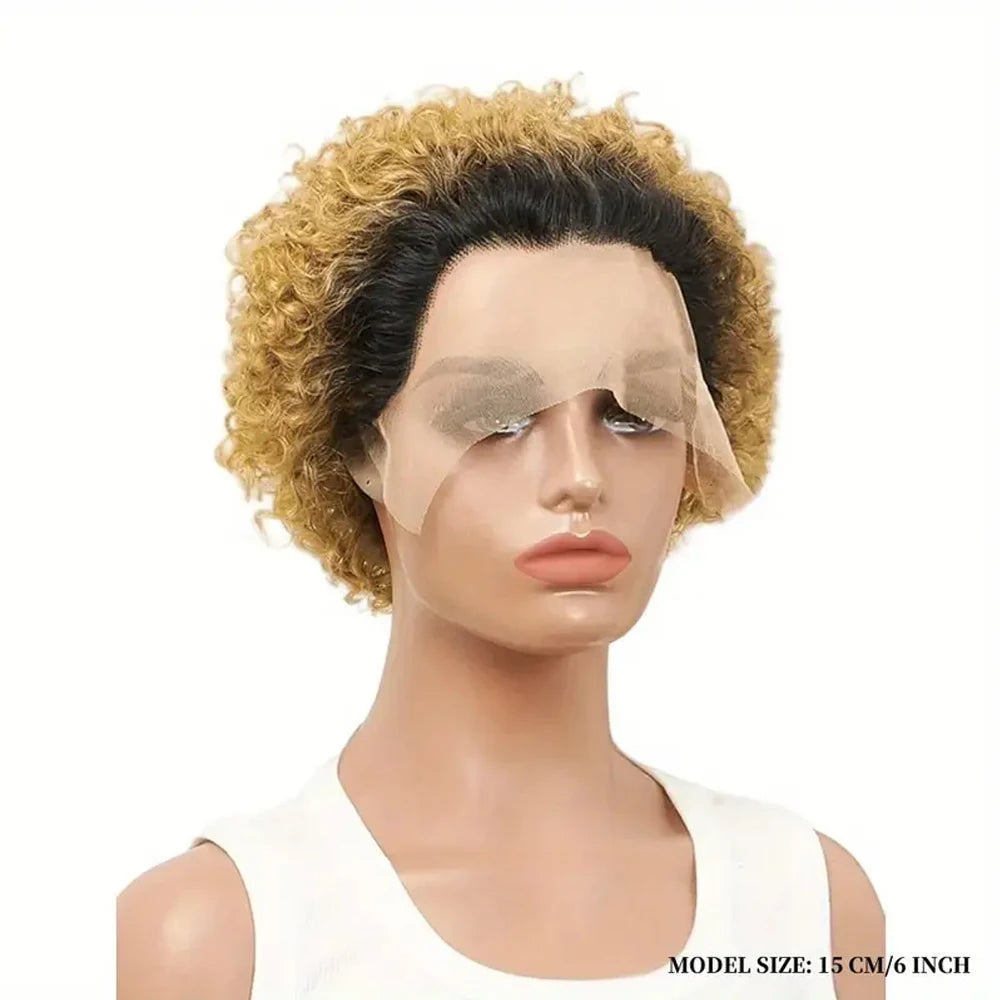 Pixie Cut Wigs Human Hair Short Curly Lace